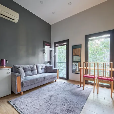 Briva Lejlighed Istanbul